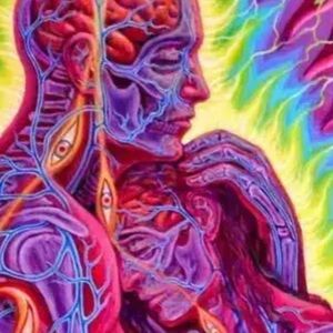 Meet your Posher, Joselyn